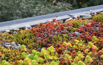 the cost of Dalabrog green roof installation