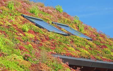 Dalabrog living roof systems